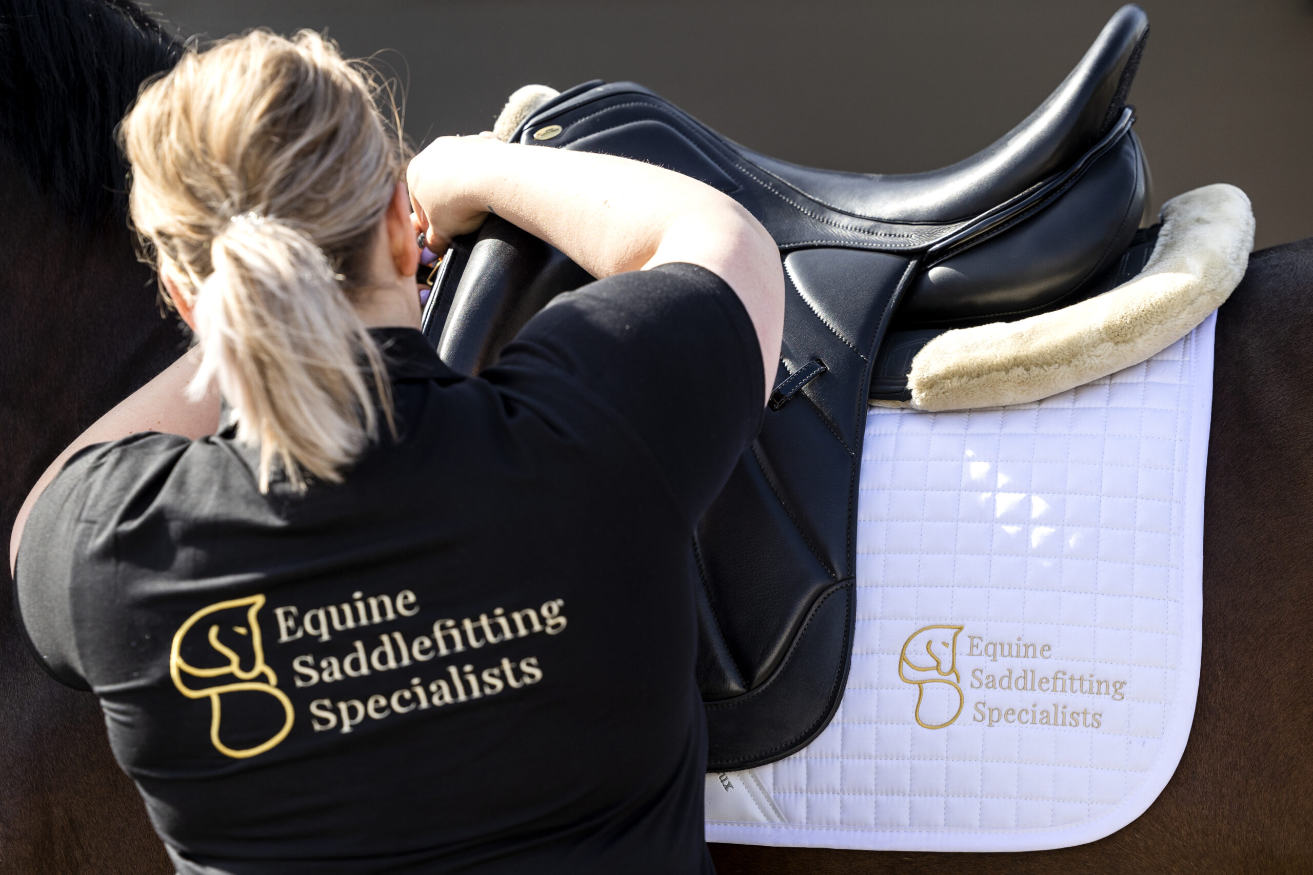 Ons Team Equine Saddlefitting Specialists
