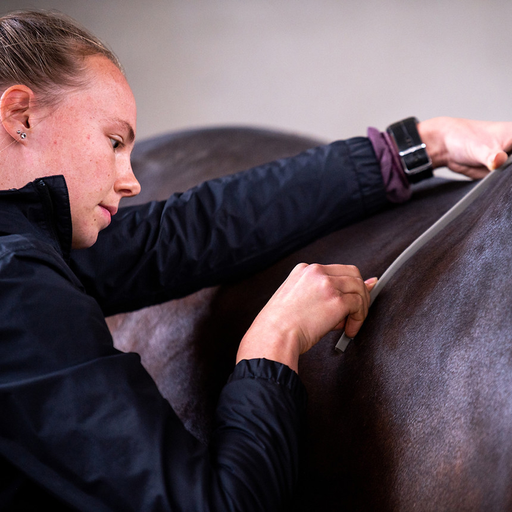 Zadelpassen 2.0: Hoe nauwkeurig meten leidt tot een beter passende boommaat en gezondere paarden
