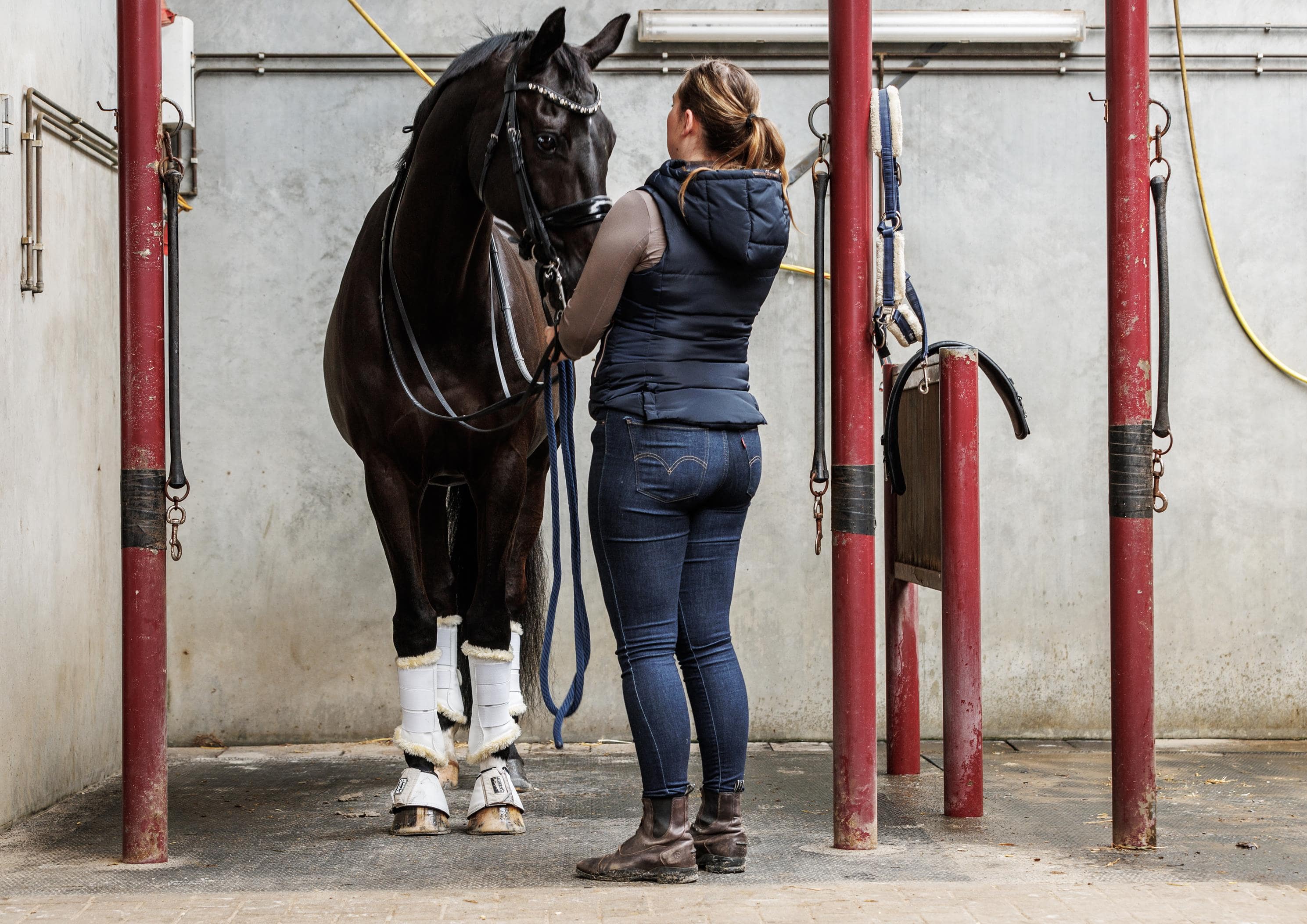 Branche erkende opleiding tot zadelpasser zadelmaker zadelspecialist Equine Saddlefitting Specialist. Opleiding in de paarden, paardenopleiding, hippische opleiding. Zadelpasser worden? Zadelmaker worden? Hoe wordt je zadelpasser? Uitdagende opleiding in de paarden. Beroepen in de paarden, paarden beroep met goed salaris. Opleiding paarden hbo niveau. Paardenwelzijn.