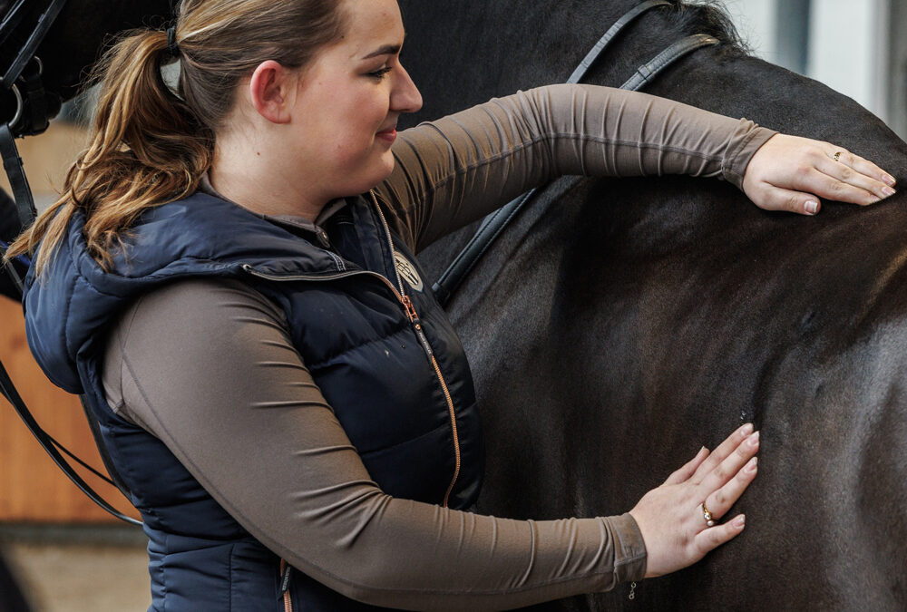 Wat is een professionele zadelpasser?
